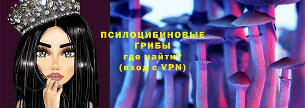 крисы Алексин